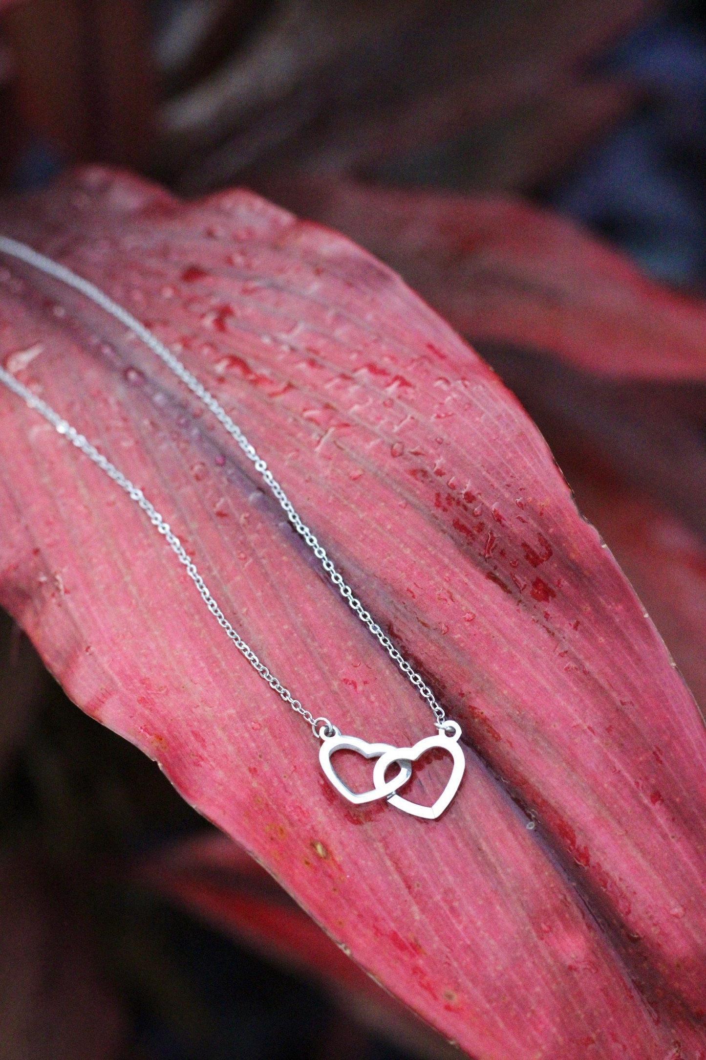 Two Hearts Interlocked Necklace