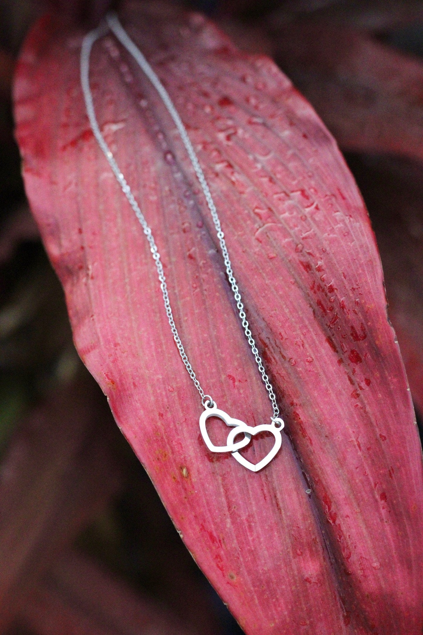 Two Hearts Interlocked Necklace